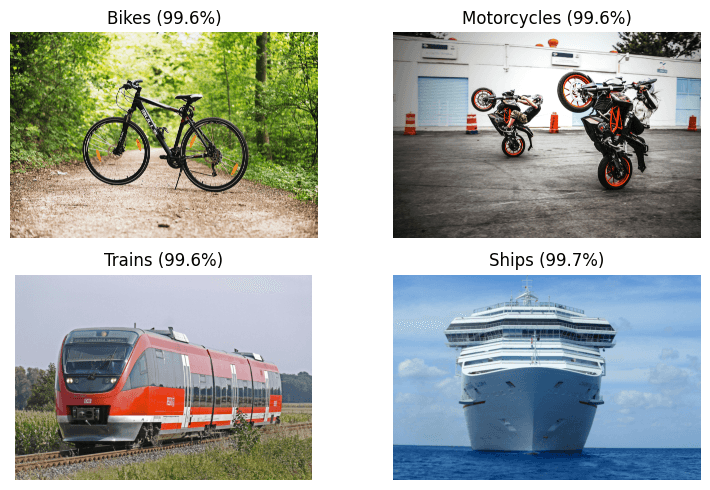 Image Classification