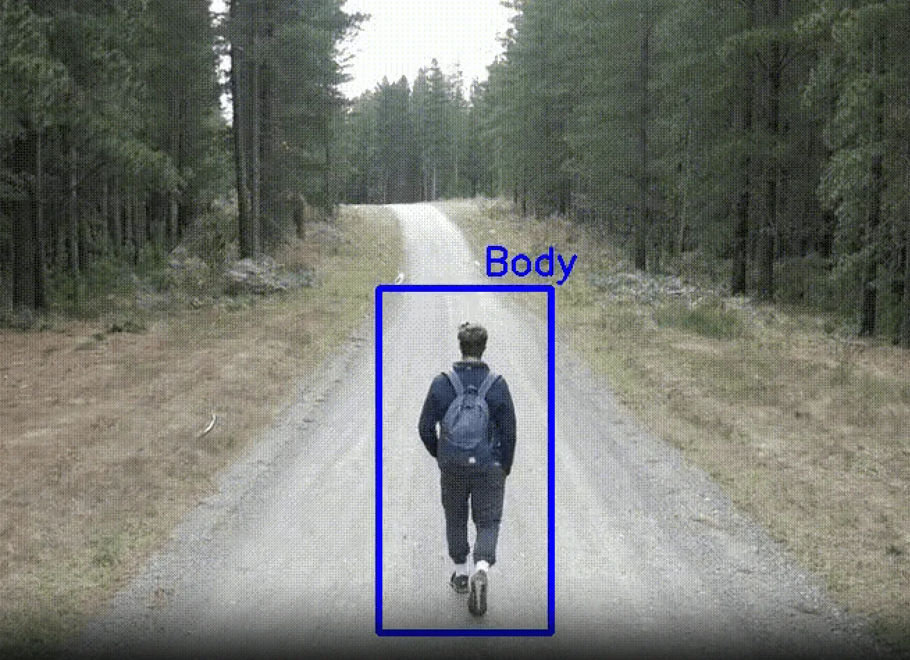 Detecting Objects with OpenCV Cascade Classifiers