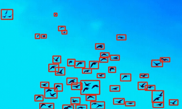 Tracking Moving Objects with Background Subtractors using OpenCV ...