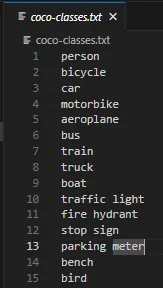 Running YOLO Models in C++ for Real-Time Object Detection