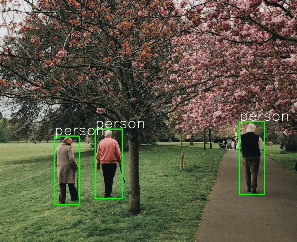 Running YOLO Models in C++ for Real-Time Object Detection