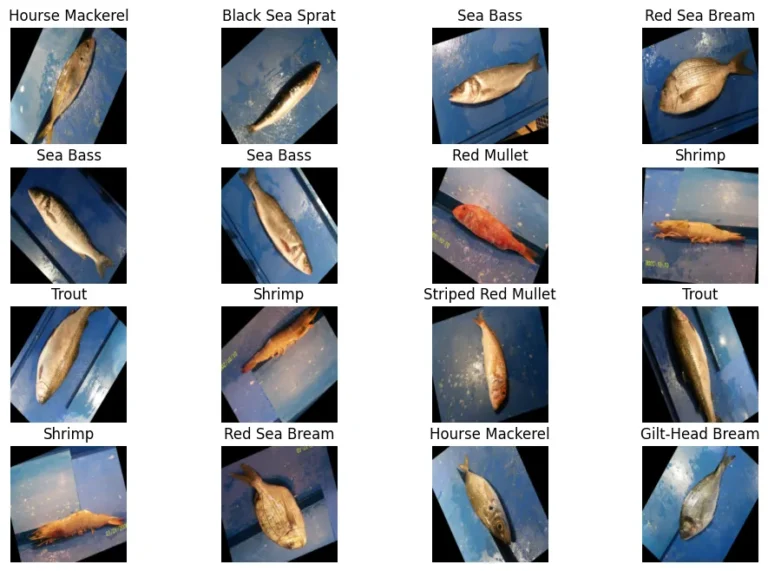 Pipeline for Training PyTorch Image Classification Model / Creating Dataset