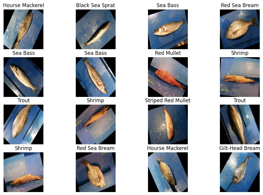 Pipeline for Training PyTorch Image Classification Model / Creating Dataset