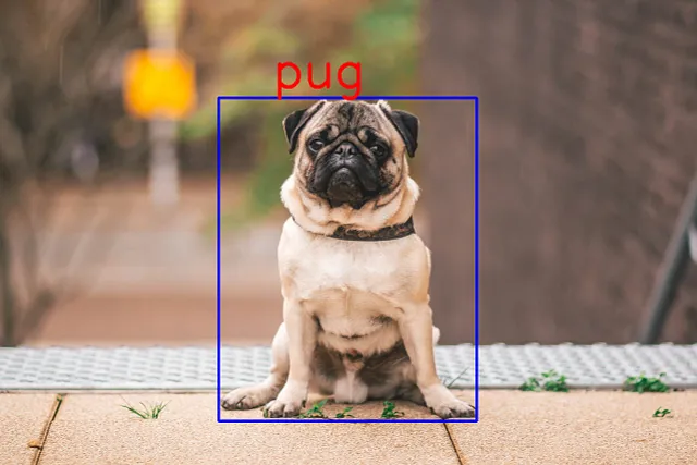 Combining YOLO Object Detection with Image Classification Models