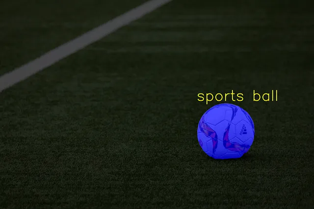 Blurring Faces with YOLO and SAM Models