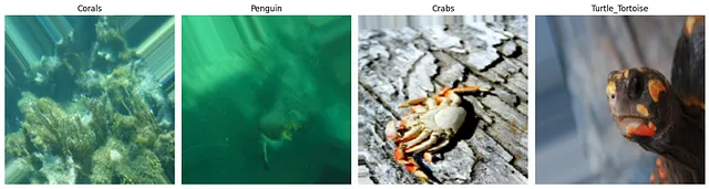 Pipeline for Training TensorFlow Keras Image Classification Model