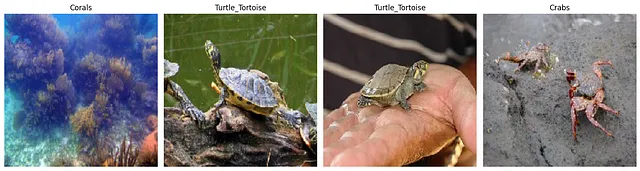 Pipeline for Training TensorFlow Keras Image Classification Model