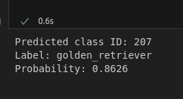 Run Any Deep Learning Model with ONNX Runtime in Python
