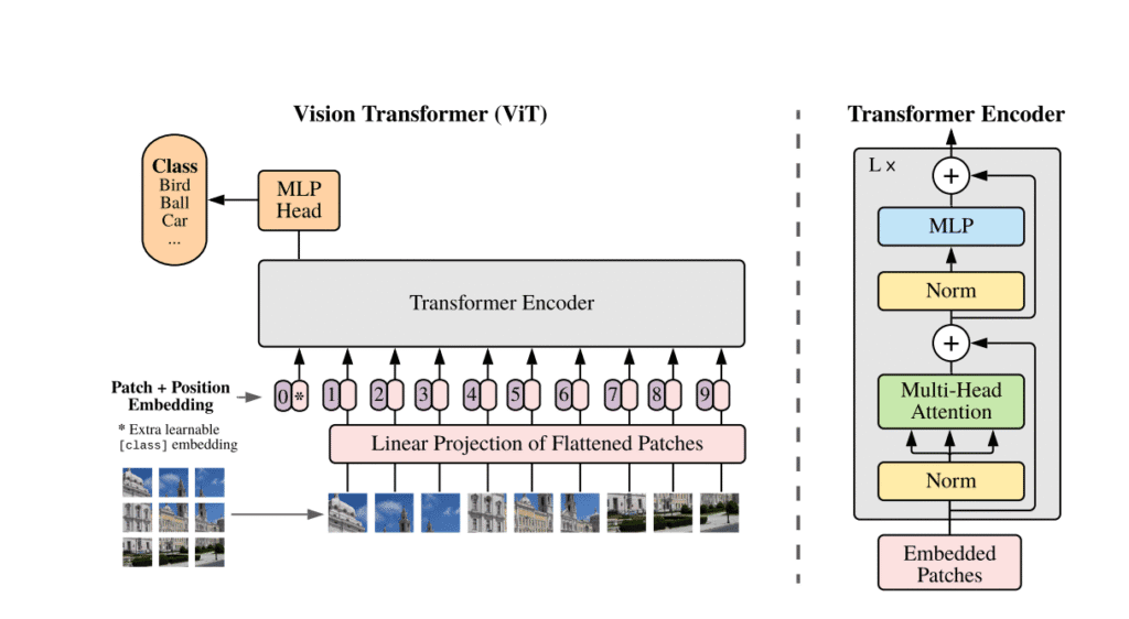 Pipeline For Training Custom ViT(Vision Transformer) Image Classification Models