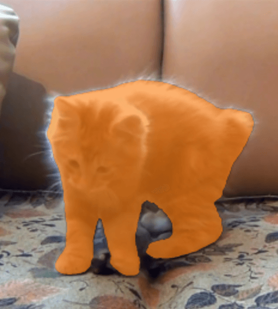 Introduction to SAM2: Installation Guide and Performing Segmentation on Video