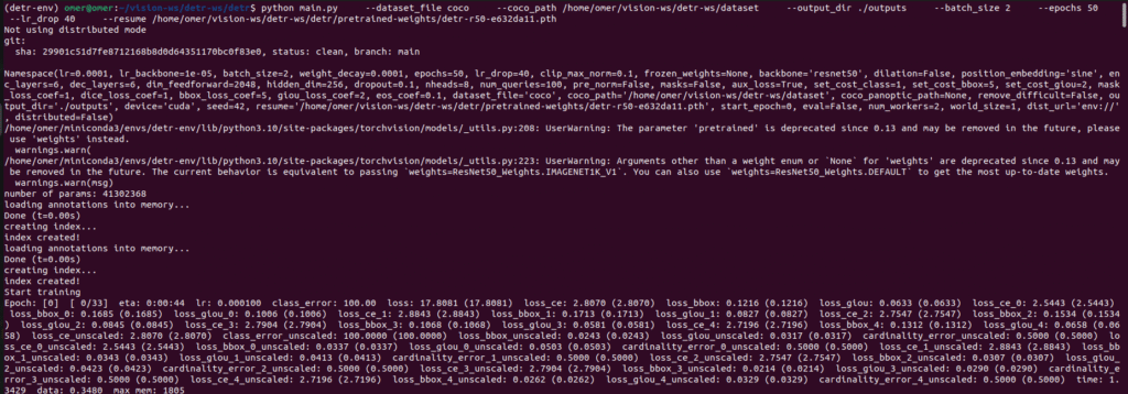 Pipeline for Training DETR Object Detection Models