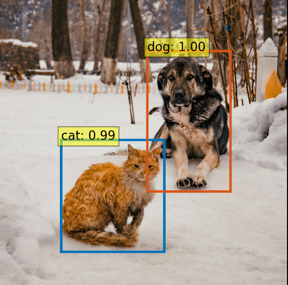 Pipeline for Training DETR Object Detection Models