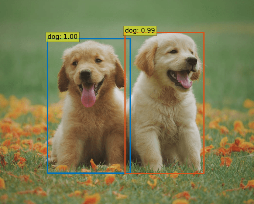 Pipeline for Training DETR Object Detection Models