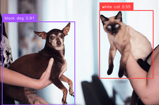 Grounding DINO: Detecting Objects with Text Prompts