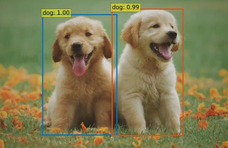 Grounding DINO: Detecting Objects with Text Prompts